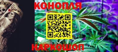 гашик Нарткала